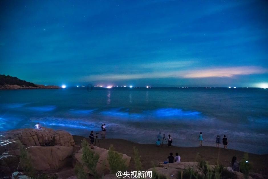小熊救援